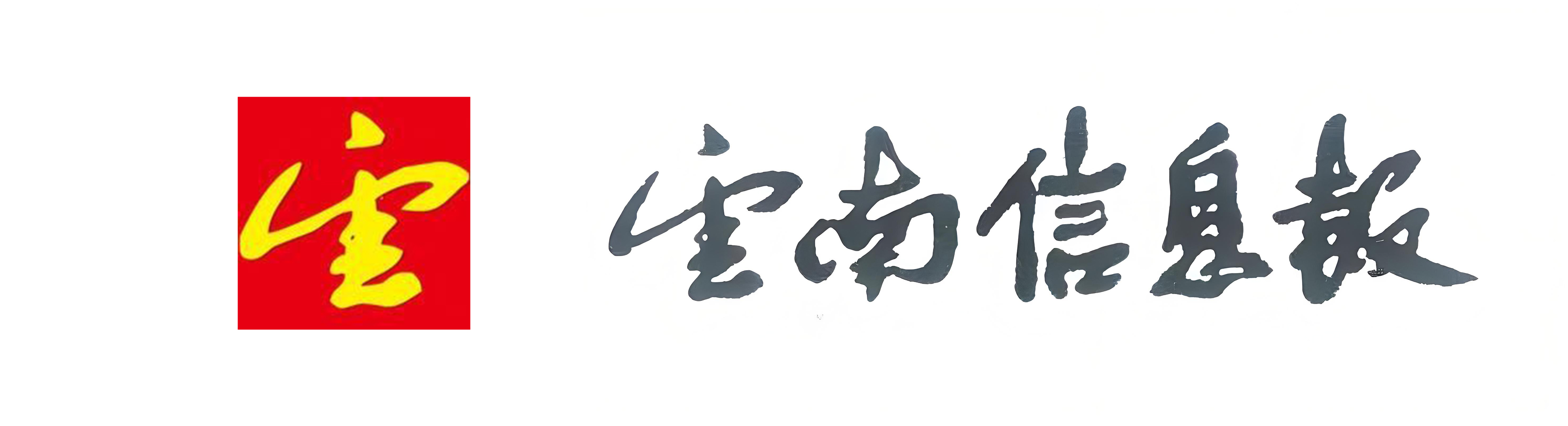 云南信息报