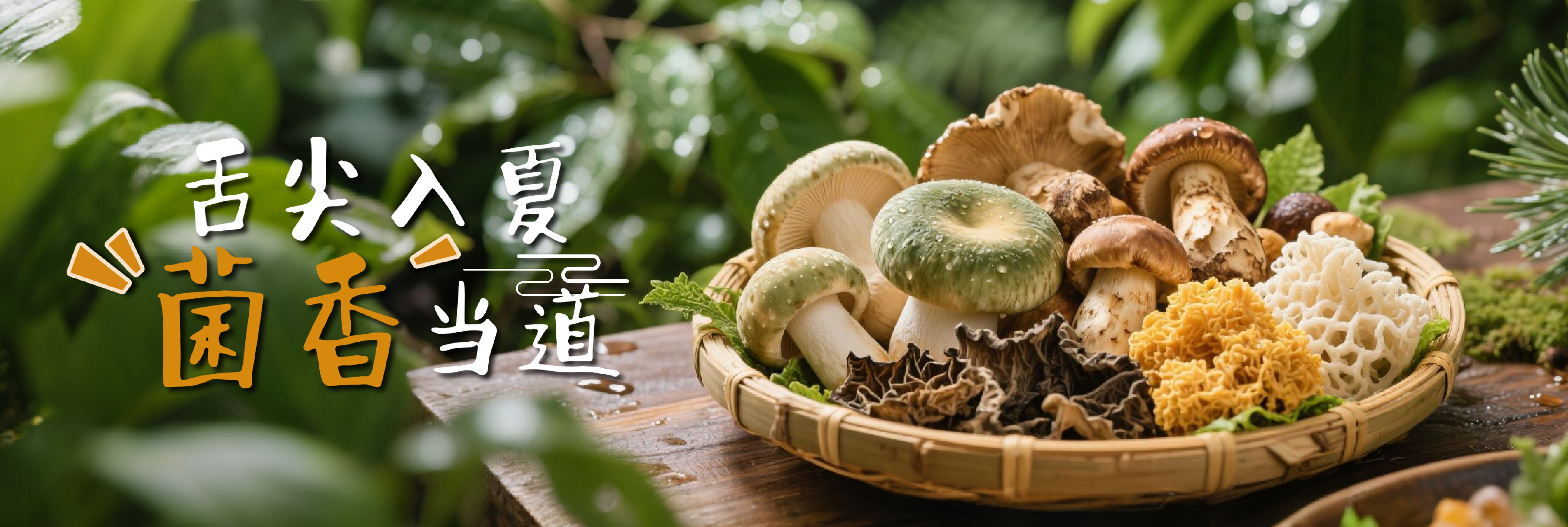舌尖入夏 “菌香”当道