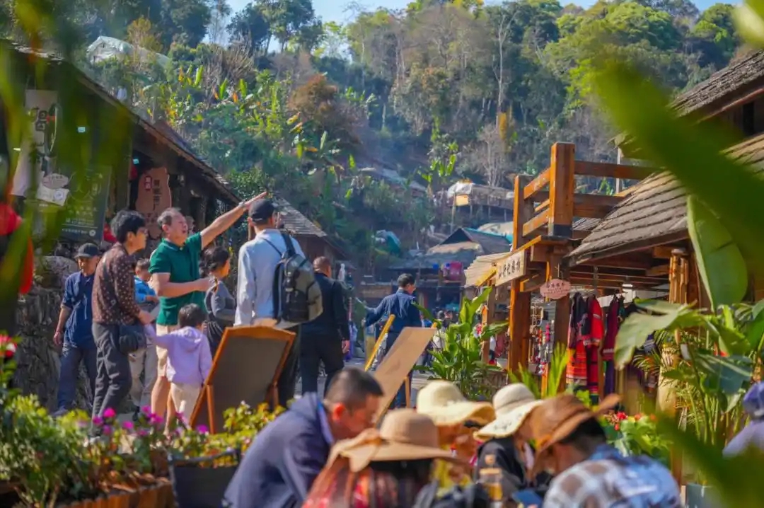 旅居云南，解锁文旅高质量发展新密码